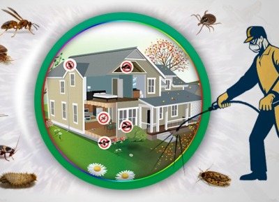 Ev-Apartman İlaçlama